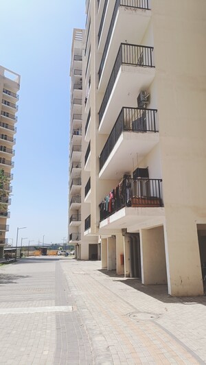 3 BHK Apartment For Sale in GLS Arawali Homes, Sohna Sector 4