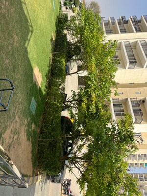  2 BHK Apartment at GLS Arawali City, Sohna Sector 4 – for Sale