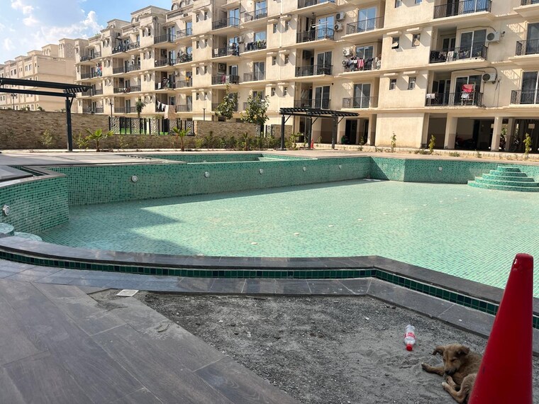 Swimming Pool, signature-global-park 3 Bedroom 756 Sq.Ft. Apartment In Sohna Sector 36 Gurgaon 8449556