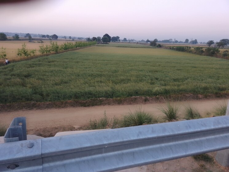 Exterior View, ludhiana chandigarh hwy Commercial Land 2 Acre In LudhianA Chandigarh Hwy Mohali 8449659