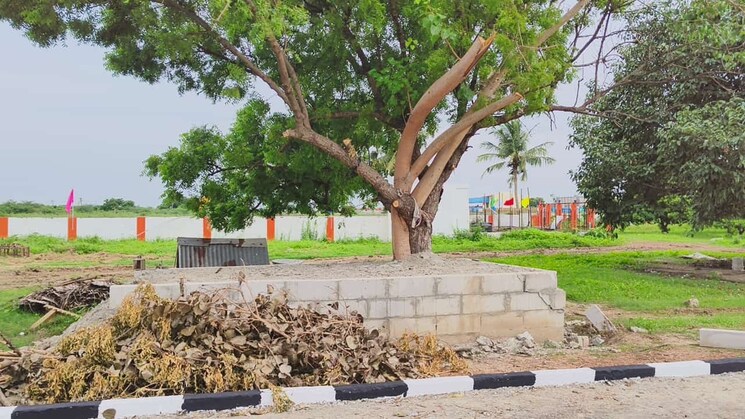 Exterior View, anna nagar east Commercial Land 8000 Sq.Ft. In Anna Nagar East Chennai 8449855