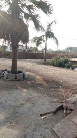  Plot – Exterior View View at Gopal Tower, Kamta - for Sale