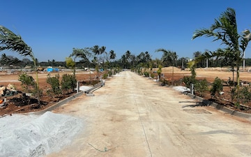 Plot For Sale in Kodipalya