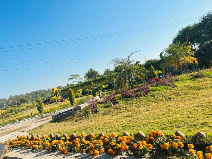 Garden, motia-z-harmony-greens 3 Bedroom 200 Sq.Yd. Apartment In Dhakoli Village Zirakpur 8450444