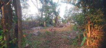  Plot For Sale in Punkunnam