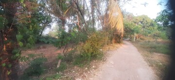  Plot – Exterior View View at Punkunnam - for Sale