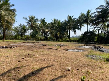  Plot For Sale in Alibag