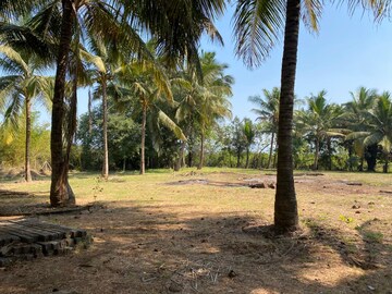  Plot – Exterior View View at Alibag - for Sale