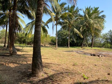  Plot – Exterior View View at Alibag - for Sale