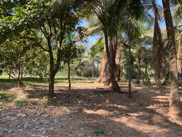  Plot – Exterior View View at Alibag - for Sale