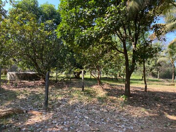  Plot – Exterior View View at Alibag - for Sale