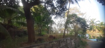  Plot – Exterior View View at Thiroor - for Sale