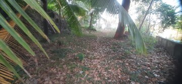  Plot For Sale in Thiroor