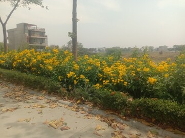  Plot – Exterior View View at Omaxe New Chandigarh, North Mullanpur - for Sale