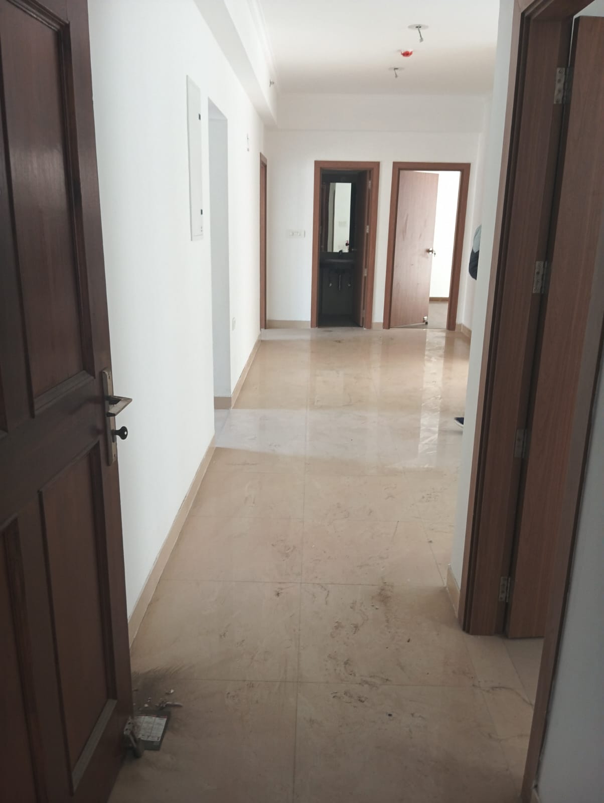 3 BHK Apartment For Sale in ATS Nobility