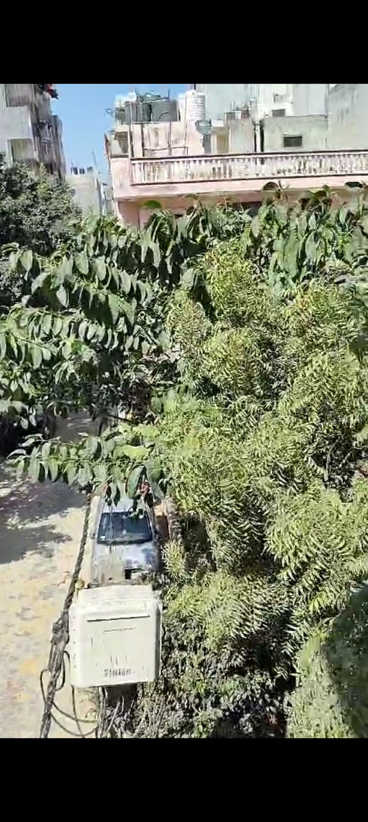 Master Bedroom, vaishali extension 2 Bedroom 650 Sq.Ft. Builder Floor In Vaishali Extension Ghaziabad 8450862