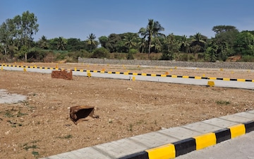 Plot For Sale in Sector 92
