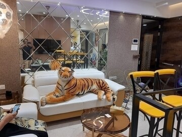 2 BHK Apartment For Rent in Mhada Vanrai Colony, Goregaon East