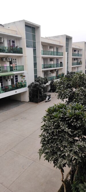 3 BHK Builder Floor For Sale in Omaxe Ambrosia, North Mullanpur