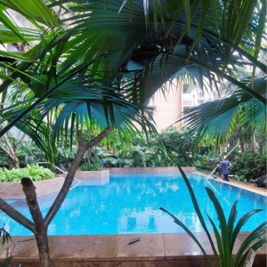 Room in 3 BHK Apartment at Kalpataru Solitaire, Nutan Laxmi Society – for Sale