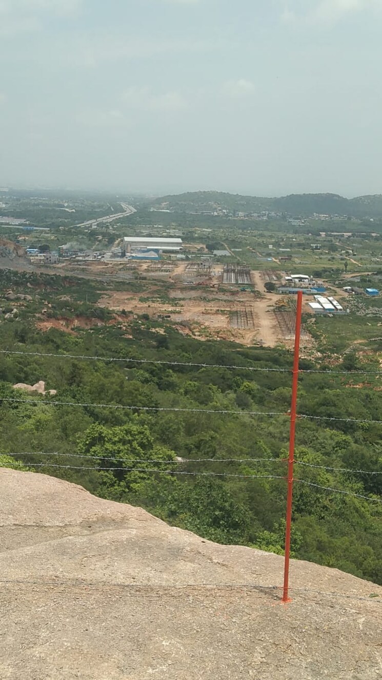 Garden, yamuna-expressway-authority-flat Commercial Industrial Plot 300 Sq.Yd. In Sector 24 Yamuna Expressway Greater Noida 8452438