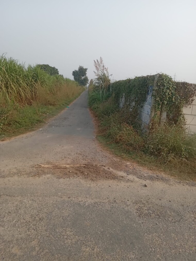 Garden, yamuna-expressway-authority-flat Commercial Industrial Plot 300 Sq.Yd. In Sector 24 Yamuna Expressway Greater Noida 8452438