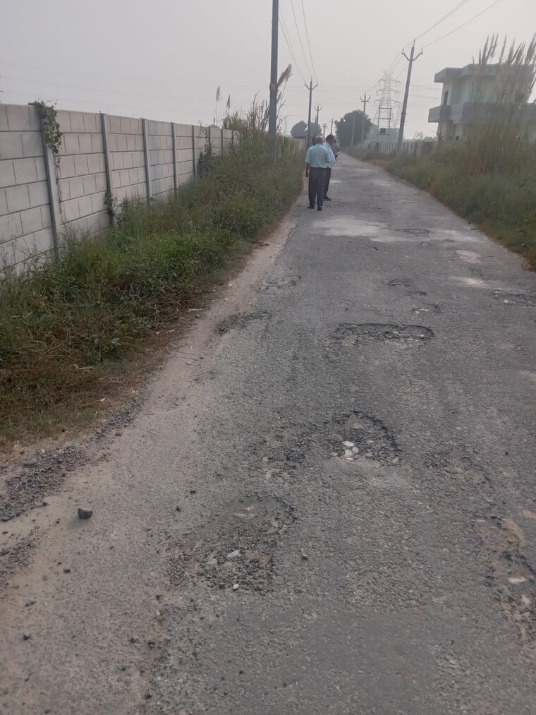 Garden, yamuna-expressway-authority-flat Commercial Industrial Plot 300 Sq.Yd. In Sector 24 Yamuna Expressway Greater Noida 8452438