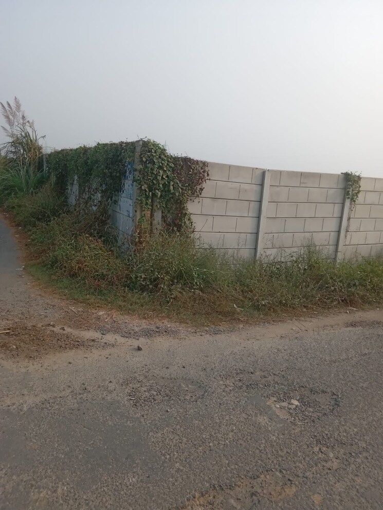 Garden, yamuna-expressway-authority-flat Commercial Industrial Plot 300 Sq.Yd. In Sector 24 Yamuna Expressway Greater Noida 8452438