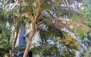 1 BHK Apartment For Rent in Saldanha Enclave, Borivali West