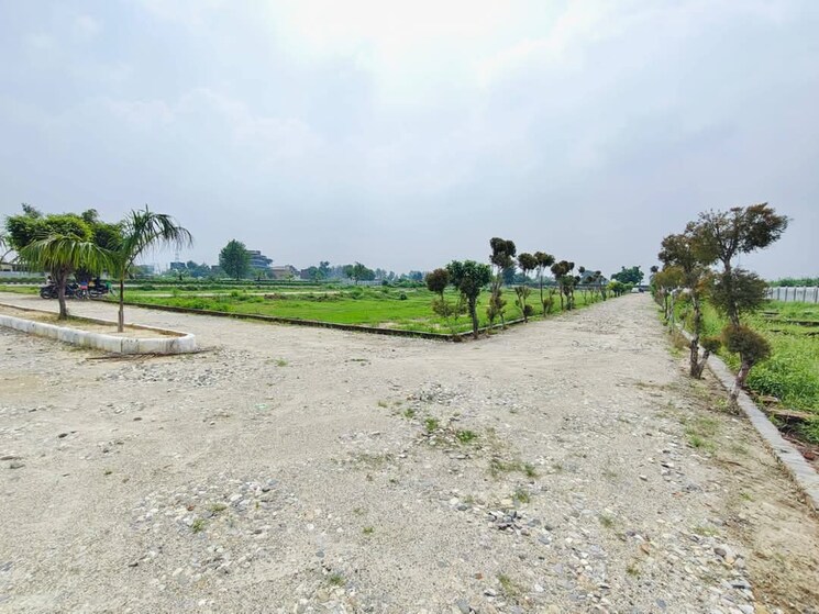 Garden, ashoka-ncr-green-extension  130 Sq.Yd. Plot In Sector 1 Greater Noida Greater Noida 8452785
