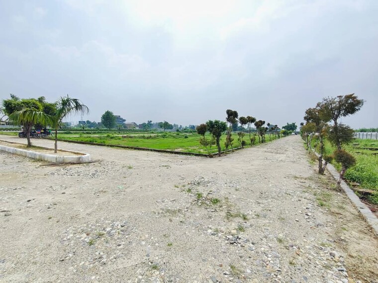 Garden, ashoka-ncr-green-extension  130 Sq.Yd. Plot In Sector 1 Greater Noida Greater Noida 8452785
