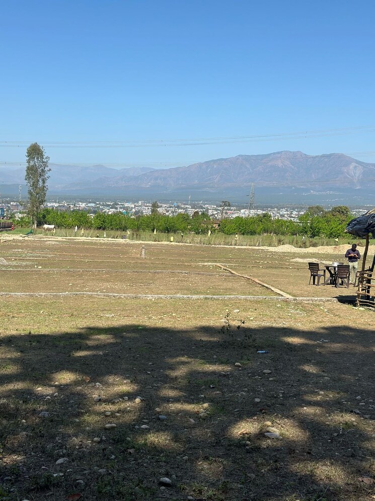 Garden, sherpur  3600 Sq.Ft. Plot In Sherpur Dehradun 8453027