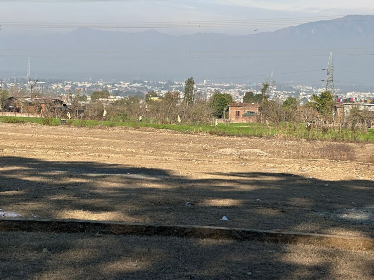 Garden, sherpur  3600 Sq.Ft. Plot In Sherpur Dehradun 8453027