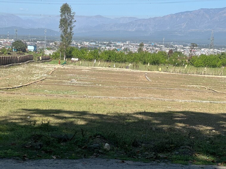 Garden, sherpur  3600 Sq.Ft. Plot In Sherpur Dehradun 8453027