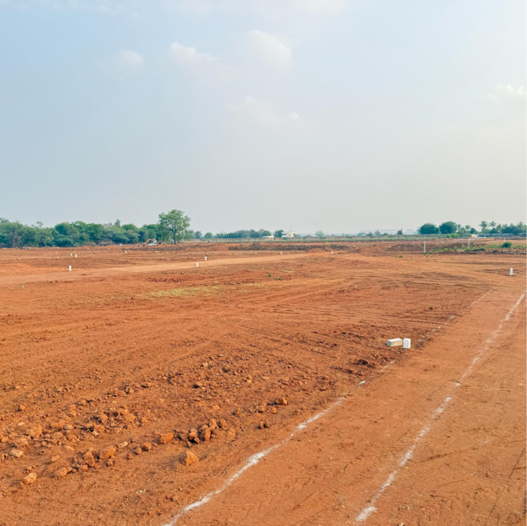Garden, railapur  182 Sq.Yd. Plot In Railapur Hyderabad 8453127