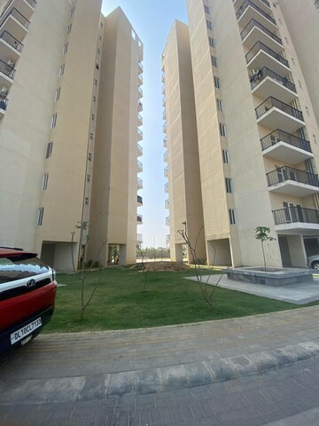 Living Room in 3 BHK Apartment at GLS Arawali Homes, Sohna Sector 4 – for Sale
