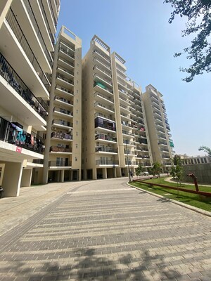 Living Room in 3 BHK Apartment at GLS Arawali Homes, Sohna Sector 4 – for Sale