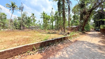 Plot Area in  Plot at Mulanthuruthy – for Sale
