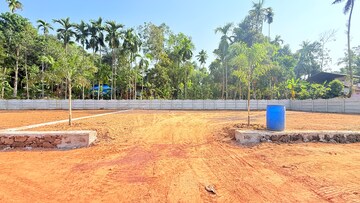 Plot Area in  Plot at Mulanthuruthy – for Sale
