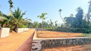 Plot Area in  Plot at Mulanthuruthy – for Sale