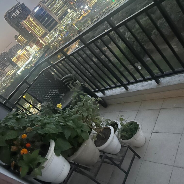 Map Location, saviour-green-arch 2 Bedroom 860 Sq.Ft. Apartment In Tech Zone Greater Noida Greater Noida 8453907