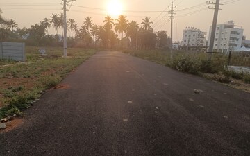 Plot For Sale in Mysore University