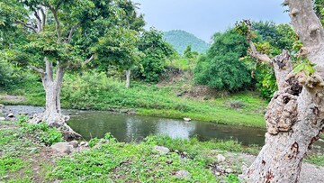  Plot – Exterior View View at Baikunth Dham - for Sale