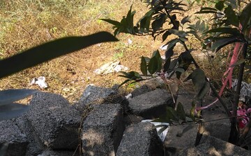 Plot For Sale in Adibatla