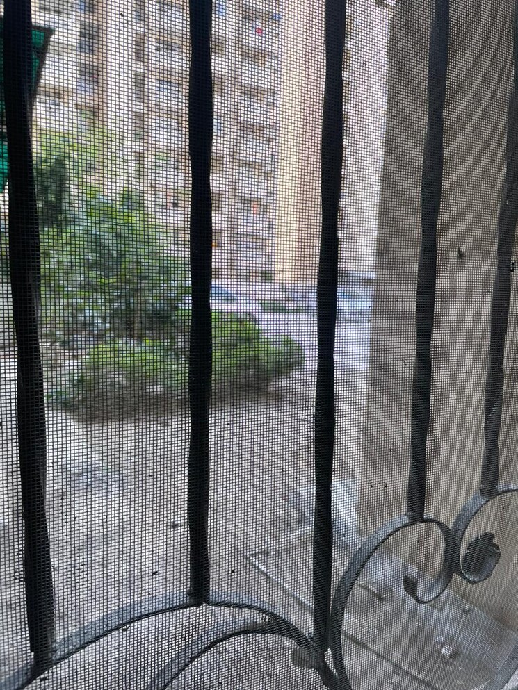 undefined, amrapali-silicon-city 2.5 Bedroom 1180 Sq.Ft. Apartment In Sector 76 Noida 8454860