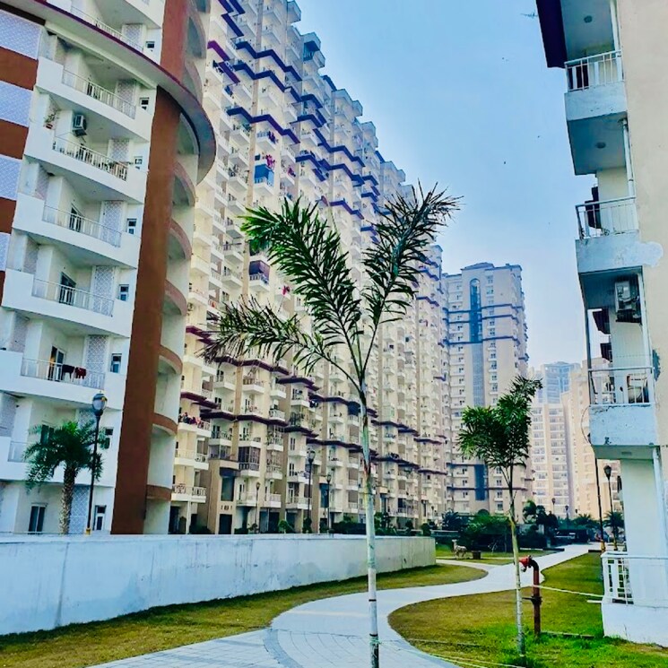 Living Room, samridhi-grand-avenue 2.5 Bedroom 1080 Sq.Ft. Apartment In Ecotech 12 Greater Noida Greater Noida 8455271