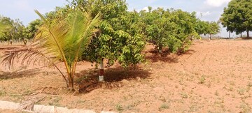  Plot – Exterior View View at Sultanpur - for Sale