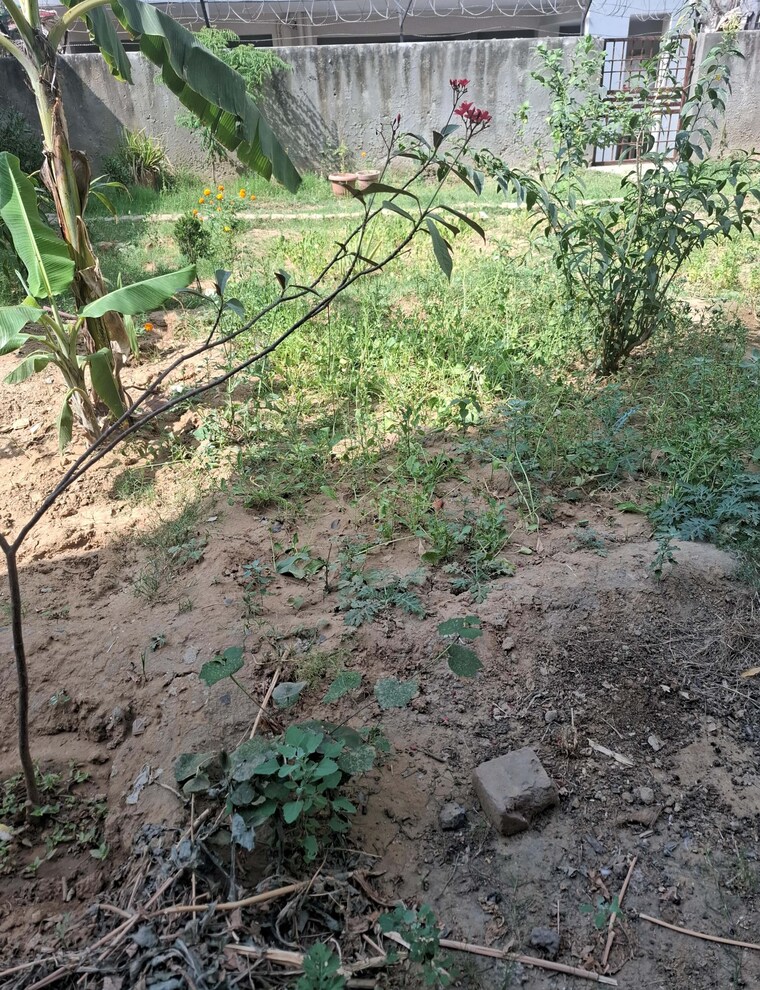 Garden, sector 47  250 Sq.Yd. Plot In Sector 47 Gurgaon 8455604