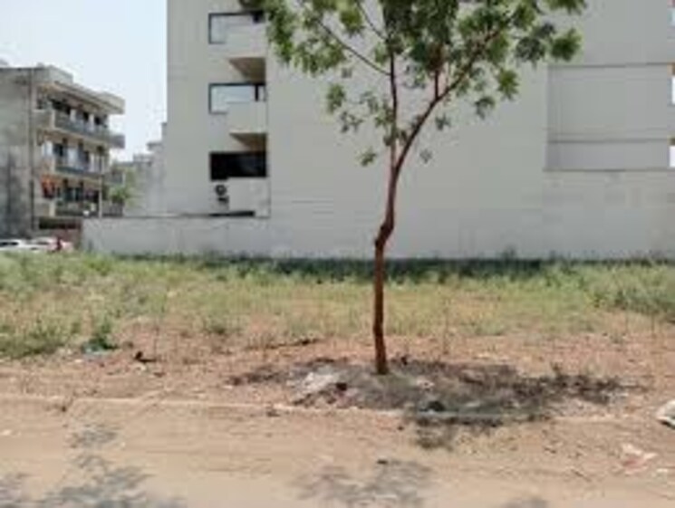 Garden, sector 47  250 Sq.Yd. Plot In Sector 47 Gurgaon 8455604