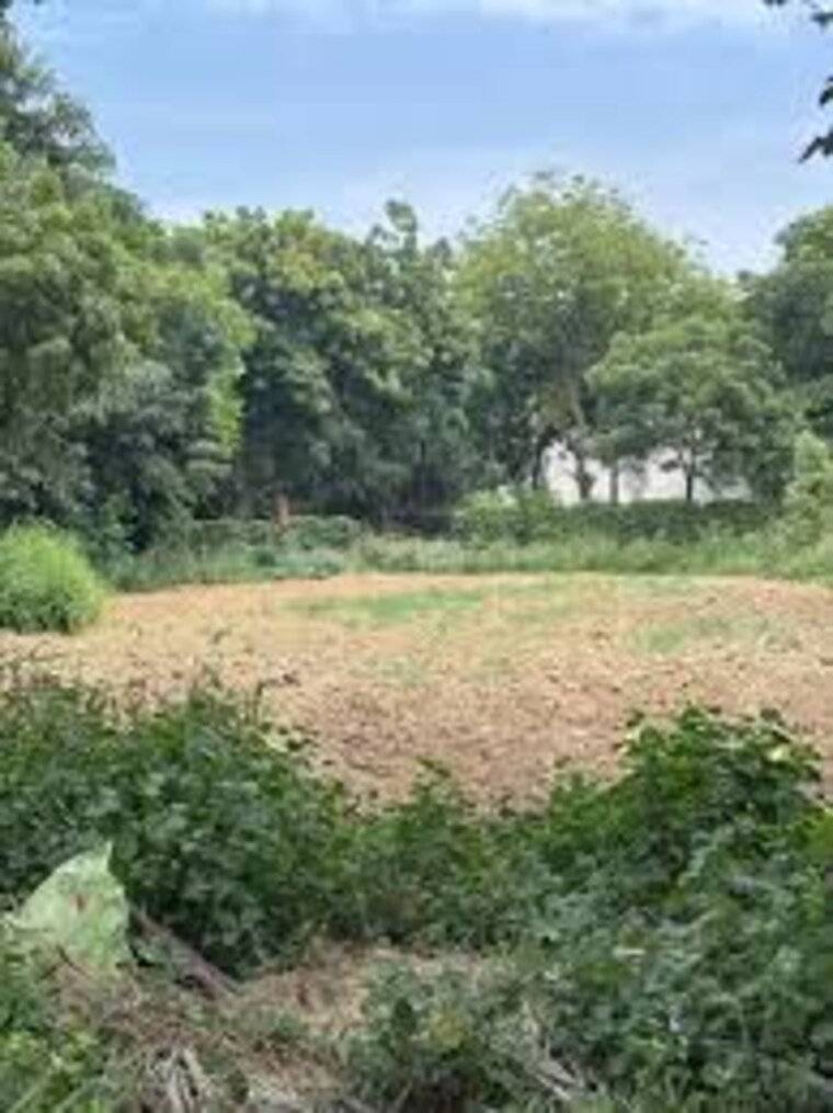 Garden, sector 47  250 Sq.Yd. Plot In Sector 47 Gurgaon 8455604